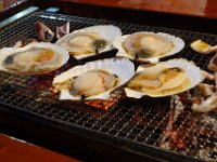 img (42)